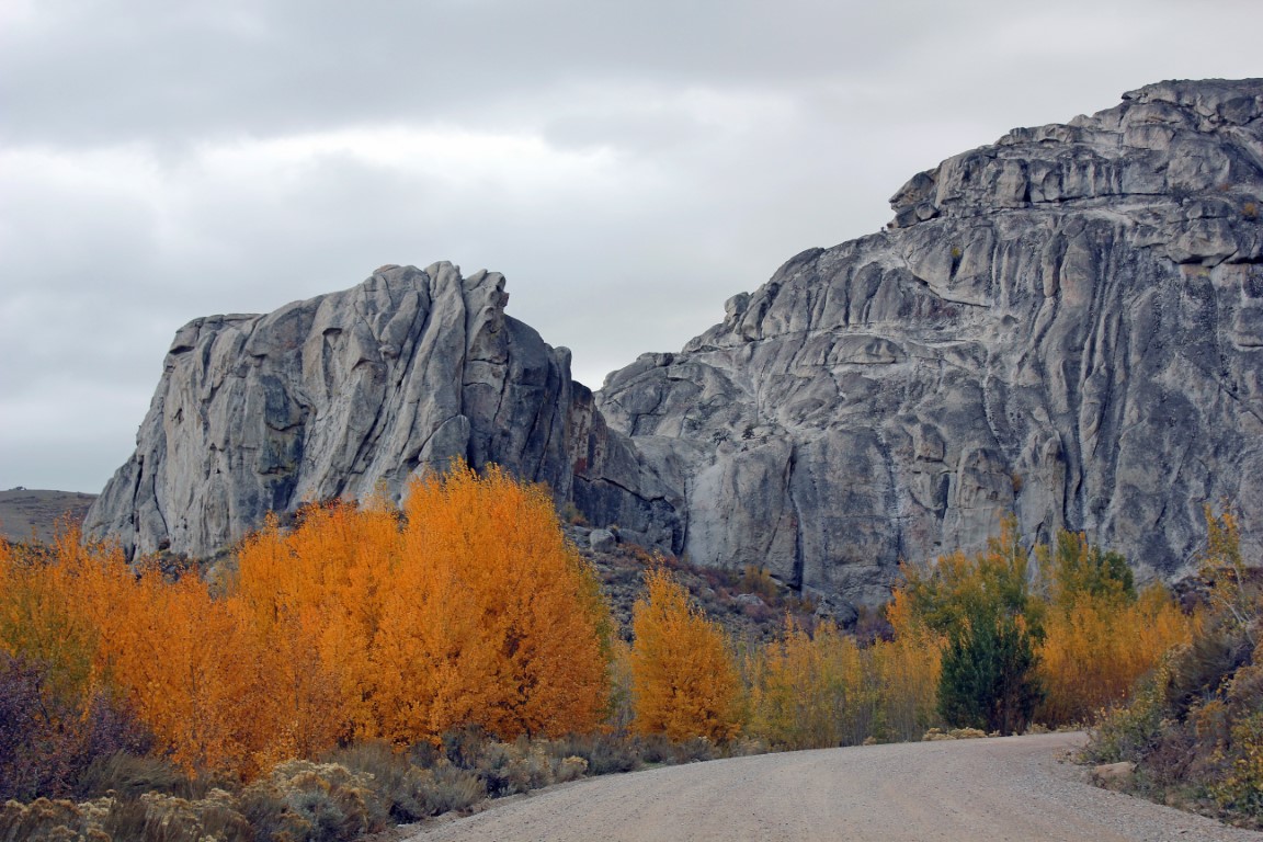 11 Nov Harrison Pass (medium)